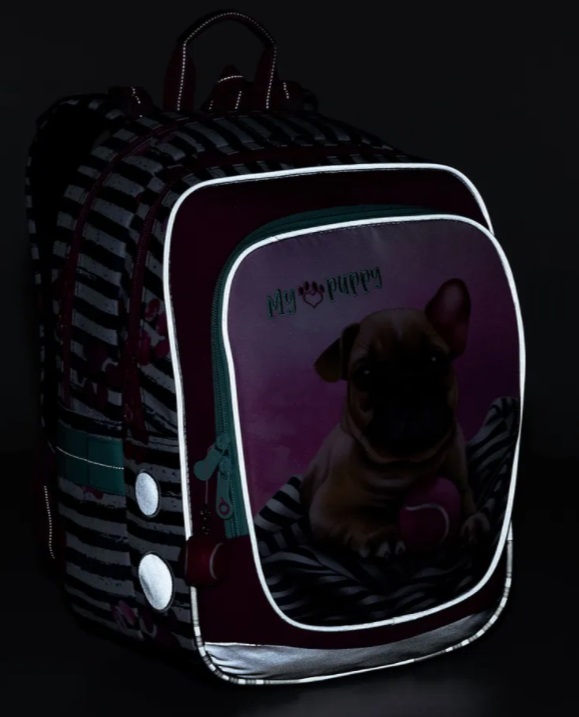 Školní batoh s pláštěnkou TOPGAL ENDY 22005 s buldočkem